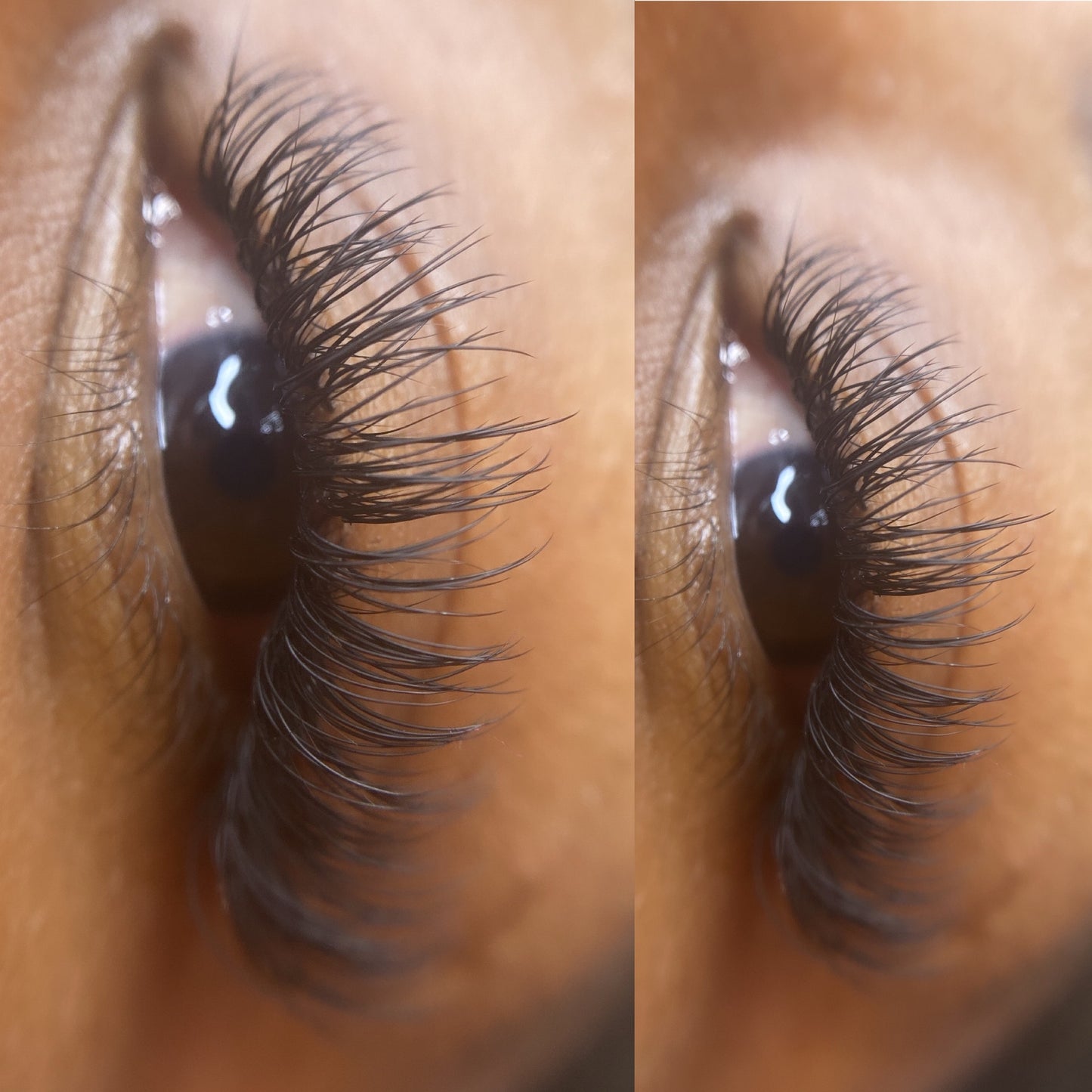 Fancy Classic Lashes