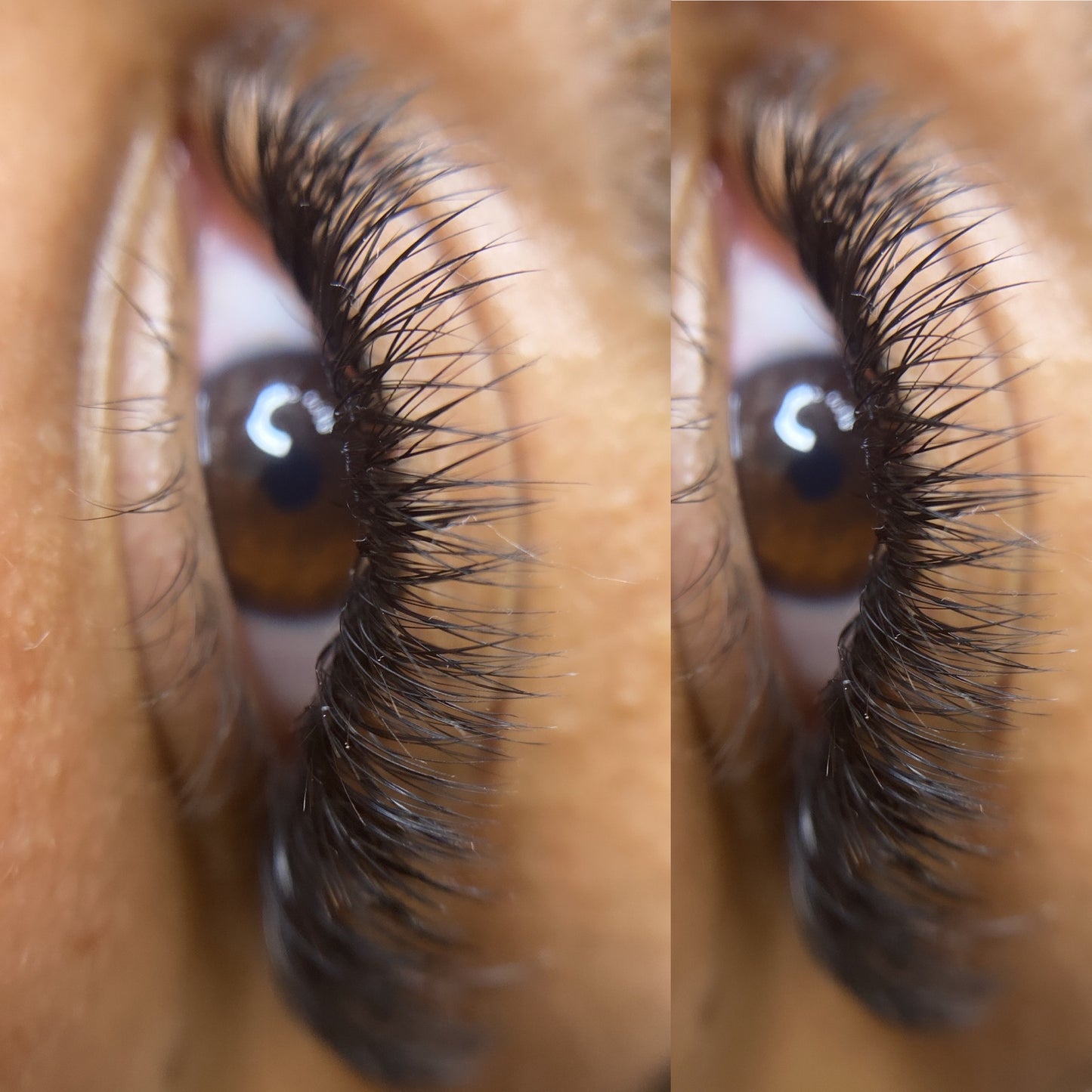 Fancy Classic Lashes