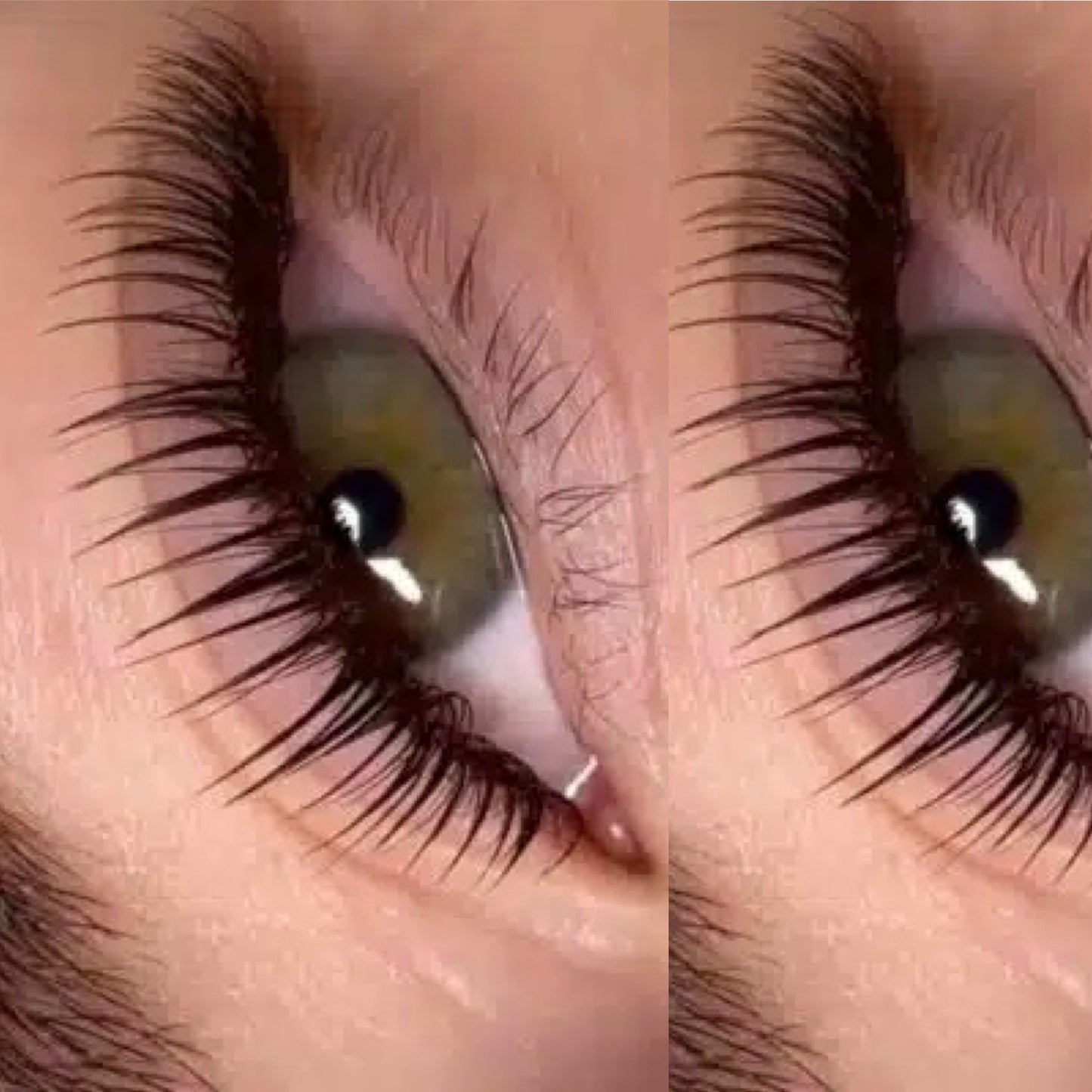 Wet Look Lashes