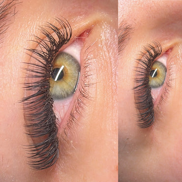 Fancy Classic Lashes