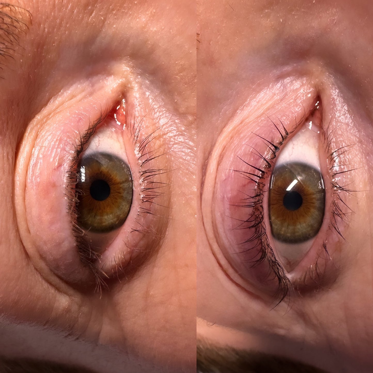 Lash lift and tint