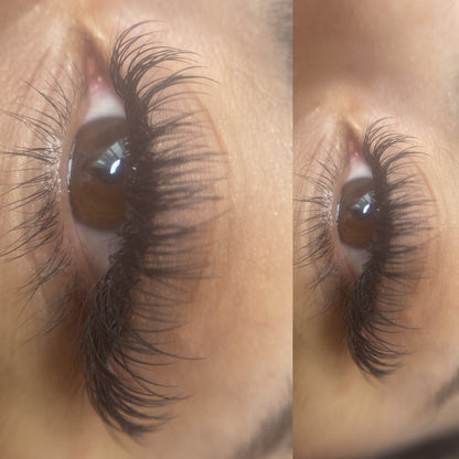 Hybrid Extensions