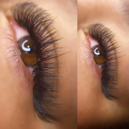 Hybrid Extensions