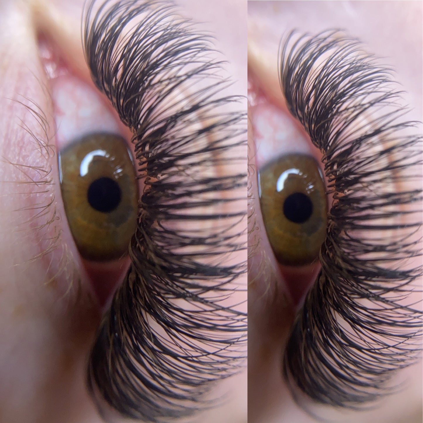 Hybrid Extensions