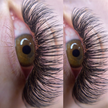 Hybrid Extensions