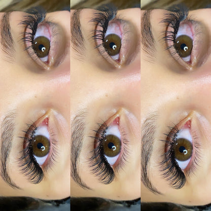 Hybrid Extensions