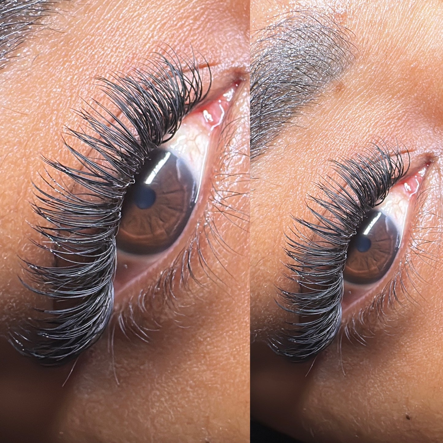 Fancy Classic Lashes