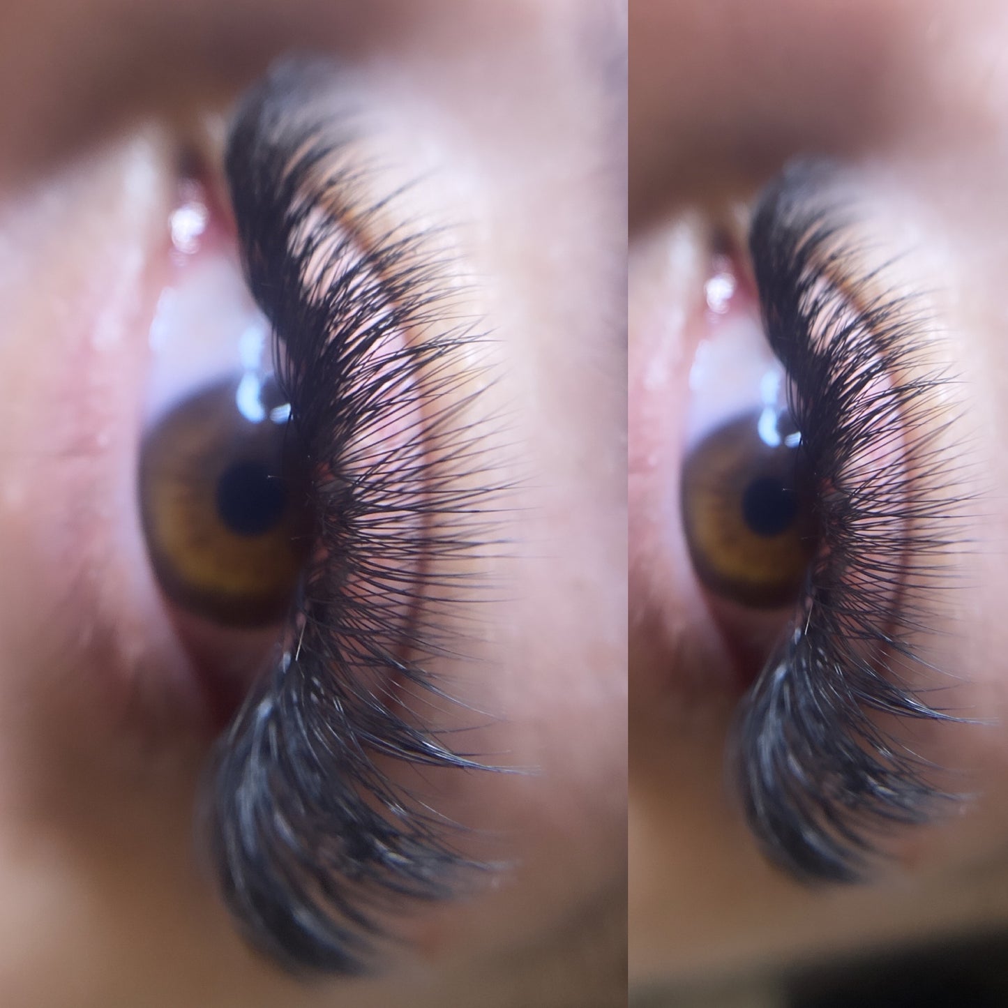 Hybrid Extensions