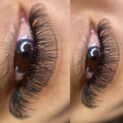 Hybrid Extensions