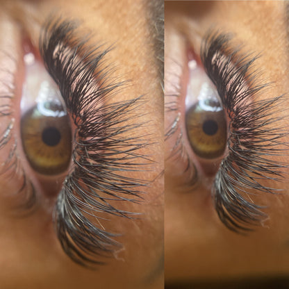 Hybrid Extensions